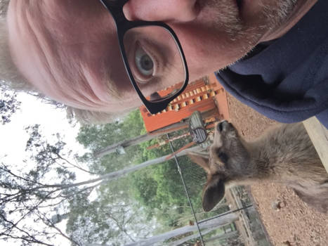 Victoria (Australië) - Dreamworld Australia