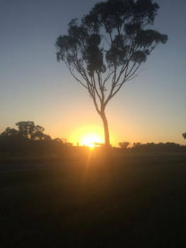 New South Wales - Goodmorning Sunshine