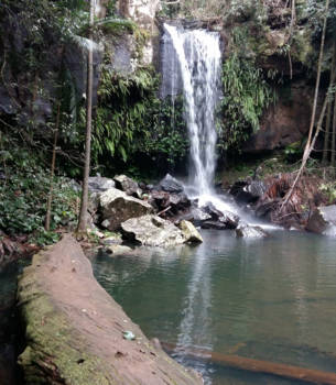 Gold Coast - Clear waters