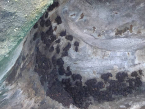 Australian Open - Batcave at the beach of Tabanan Bali