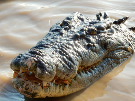 Northern Territory - Griezelig mooi...