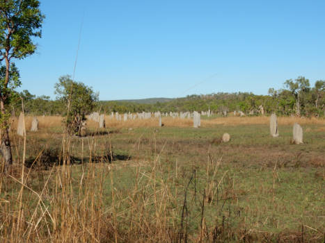 Northern Territory - Termietenheuvels