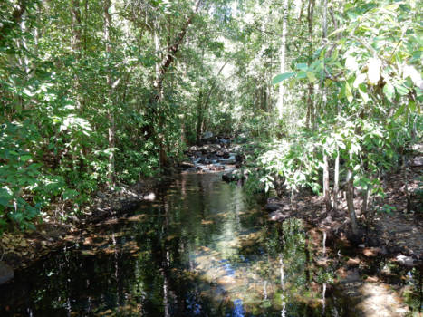 Northern Territory - onderweg naar een waterval
