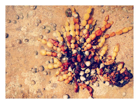 Victoria (Australië) - Strandvakantie