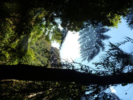 Queensland - Lovely Australia