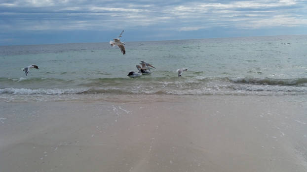 South Australia - Parsons Beach - Yorke  Peninsula