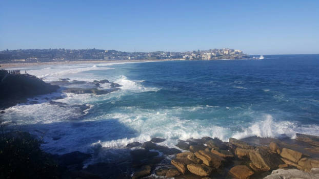 Manly Beach - beauty from our earth