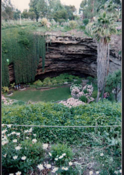 South Australia - A green hole in the middle of the city