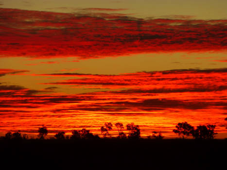 Western Australia - Western-Australië niet alleen overdag maar ook 's-avonds prachtig