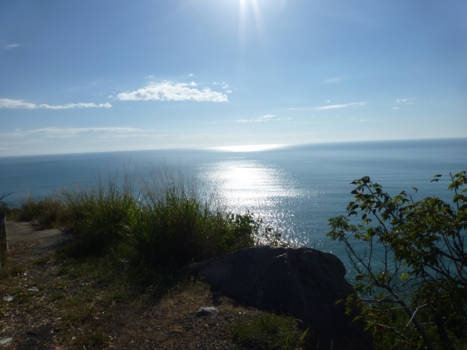 Queensland - Queensland, Australië. Het Daintree national Park, hier vergeet je de tijd.