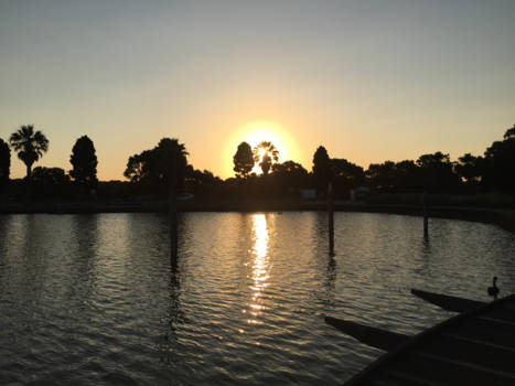 New South Wales - Centennial Park