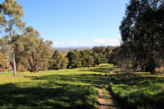 Canberra - stadspark Bundle's hill