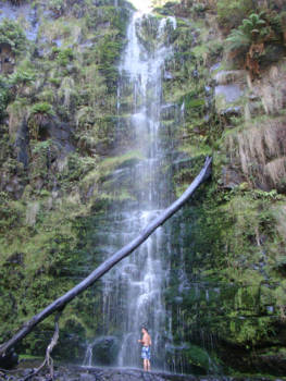 Victoria (Australië) - Erskine Falls, heerlijk afkoelen!