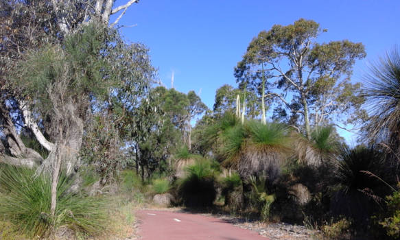 Western Australia - Fietspad