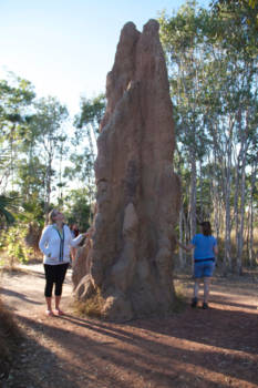 Northern Territory - termieten