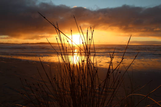 Tasmanië - Magische zonderondergang op een verlaten strand