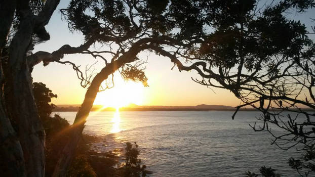 Queensland - Sunset in Noosa