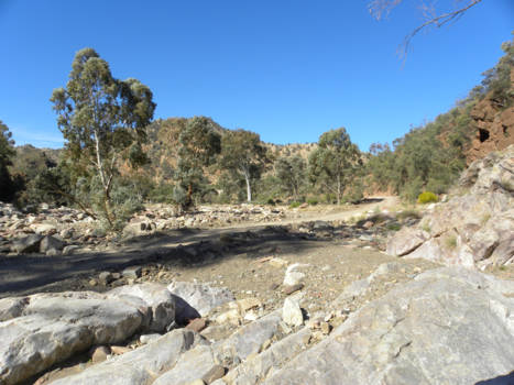 South Australia - Flinders Range, droge rivier