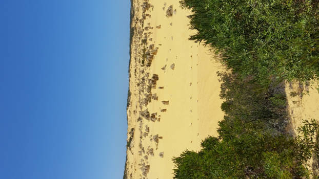 Western Australia - Pinnacles National Park