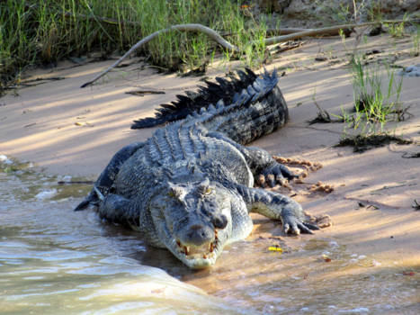 Katherine Gorge - Katherine Gorge