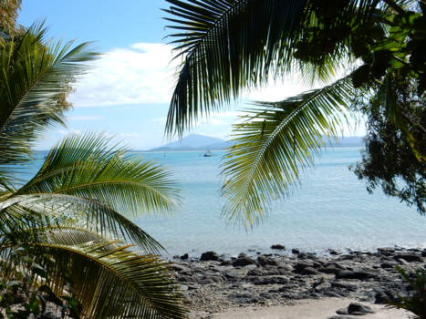 Mission Beach - Dunk Island