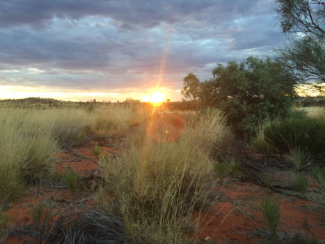 Northern Territory - Sunset at Uluru Kata-Tjuta national park