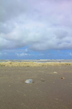 Outback - Noordelijkste nederland