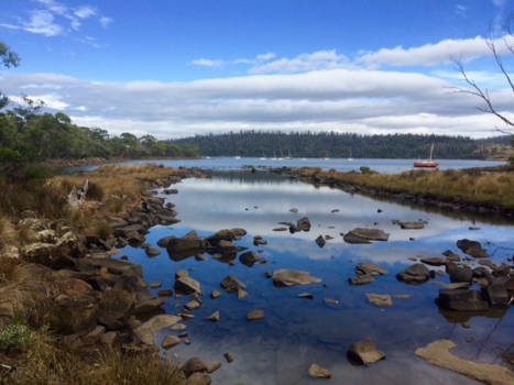 Tasmanië - Reflectie