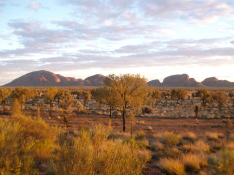 Kata Tjuta (The Olgas) - Herfst in de outback