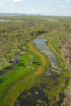 Kakadu National Park - watergreen