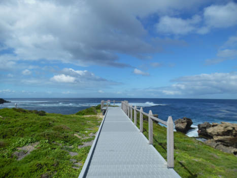 Western Australia - Rotness island