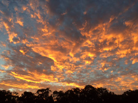 Victoria (Australië) - lucht in vuur en vlam