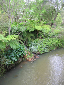 Western Australia - Mooie parken