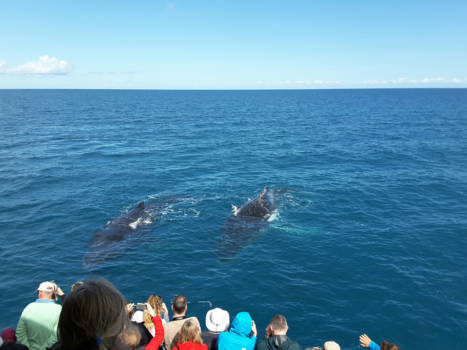Queensland - Fraser island