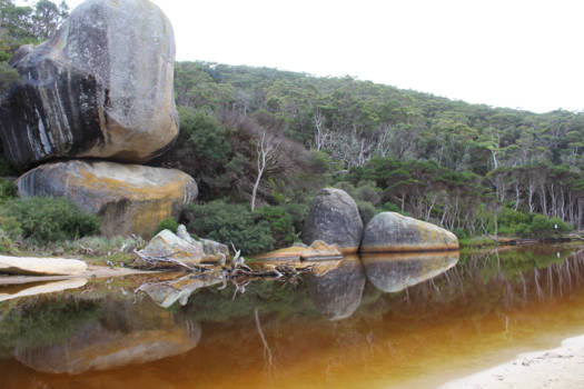 Wilsons Promontory National Park - Reflection