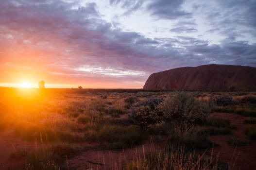 Uluru (Ayers Rock) - Magisch moment tijdens zonsopkomst Uluru / Ayers Rock Australië