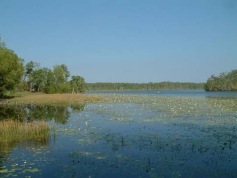 Western Australia - in de buurt bij darwin