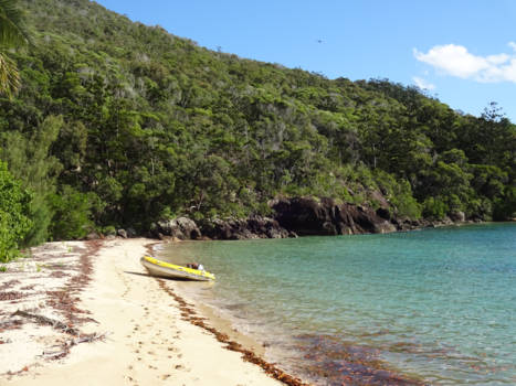 Whitsunday Islands - Whitsunday Island
