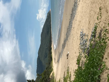 Queensland - Palm Cove