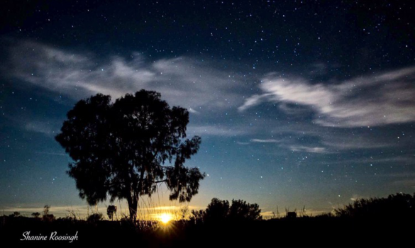 Northern Territory - moonlight and stars ❤