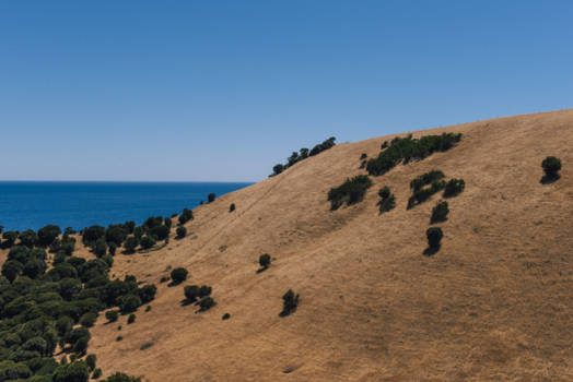 Kangaroo Island - The north