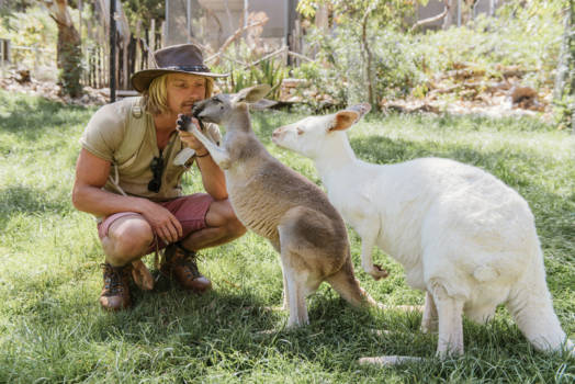 Adelaide - Australia