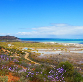 Western Australia - Wild wild west