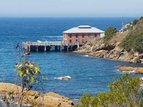 New South Wales - Tarthra