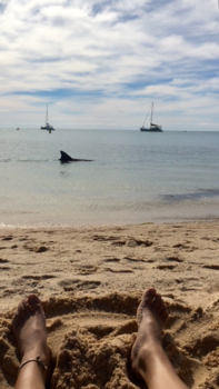 Western Australia - A casual day in Oz