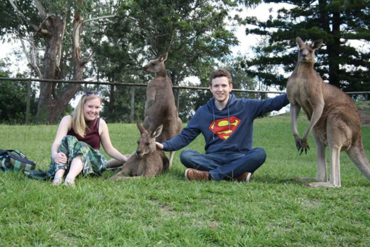 Lone Pine Koala Sanctuary - Kangaroefamilie
