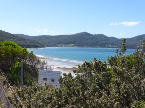 Tasmanië - The Pirate Bay