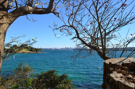 Sydney - Sydney -Watsons bay