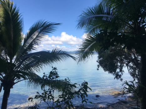 Mission Beach - Dunk Island