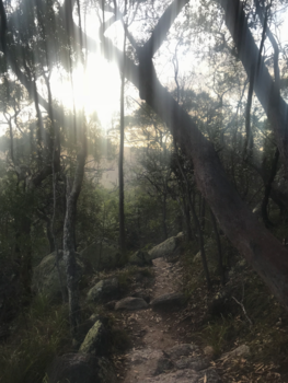 Magnetic Island - Afternoon walk on Maggie